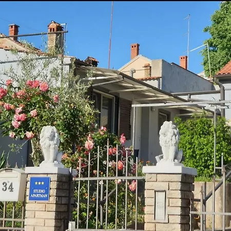 Studio City With Free Parking Apartment Pula