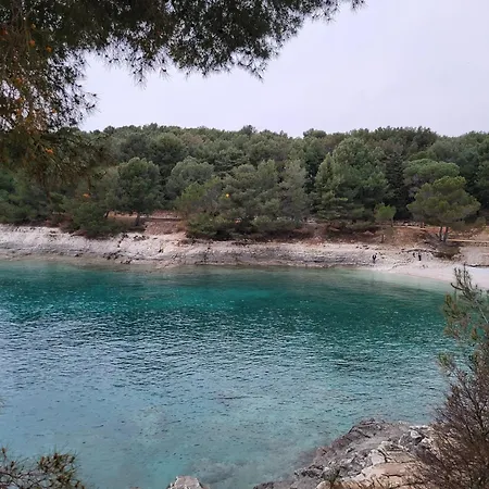 Studio City With Free Parking Апартаменты *