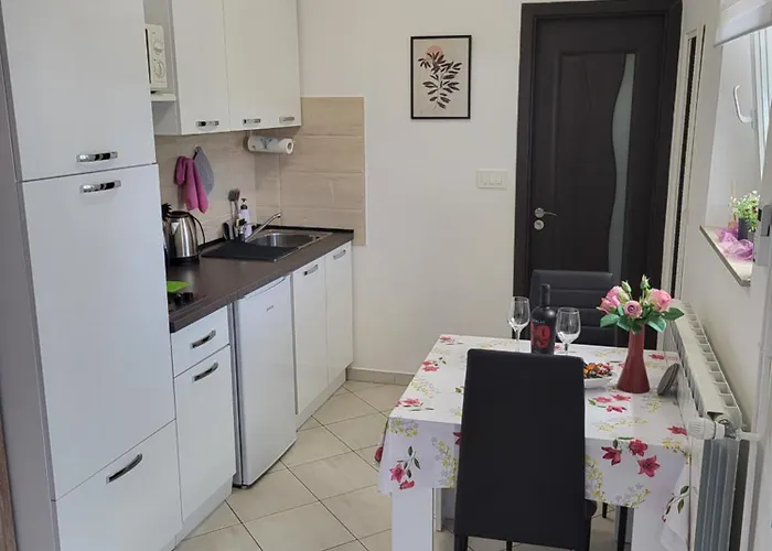 Studio City With Free Parking Pula