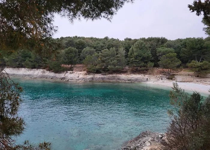 Studio City With Free Parking Appartement *